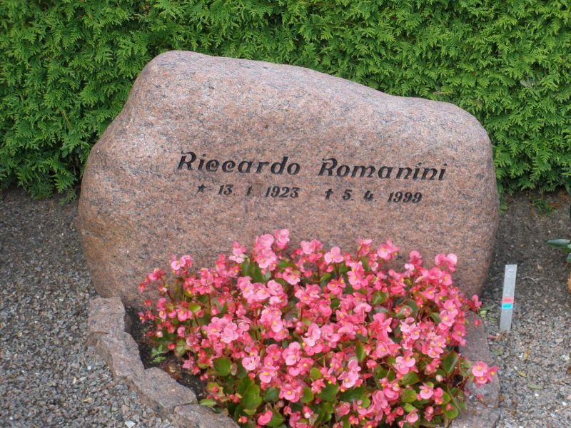 Riccardo Romanini.JPG